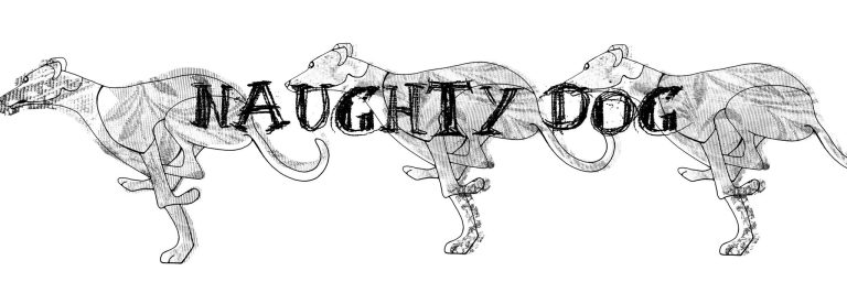 naughty dog header