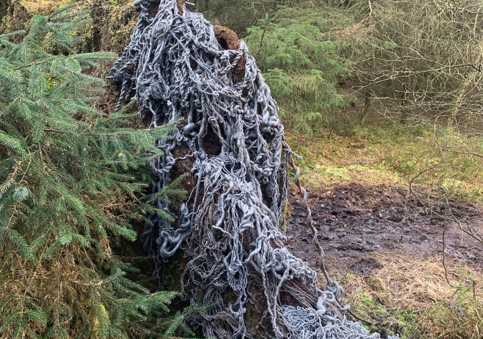 Fine Art lecturer’s work exhibited in North Yorkshire forest