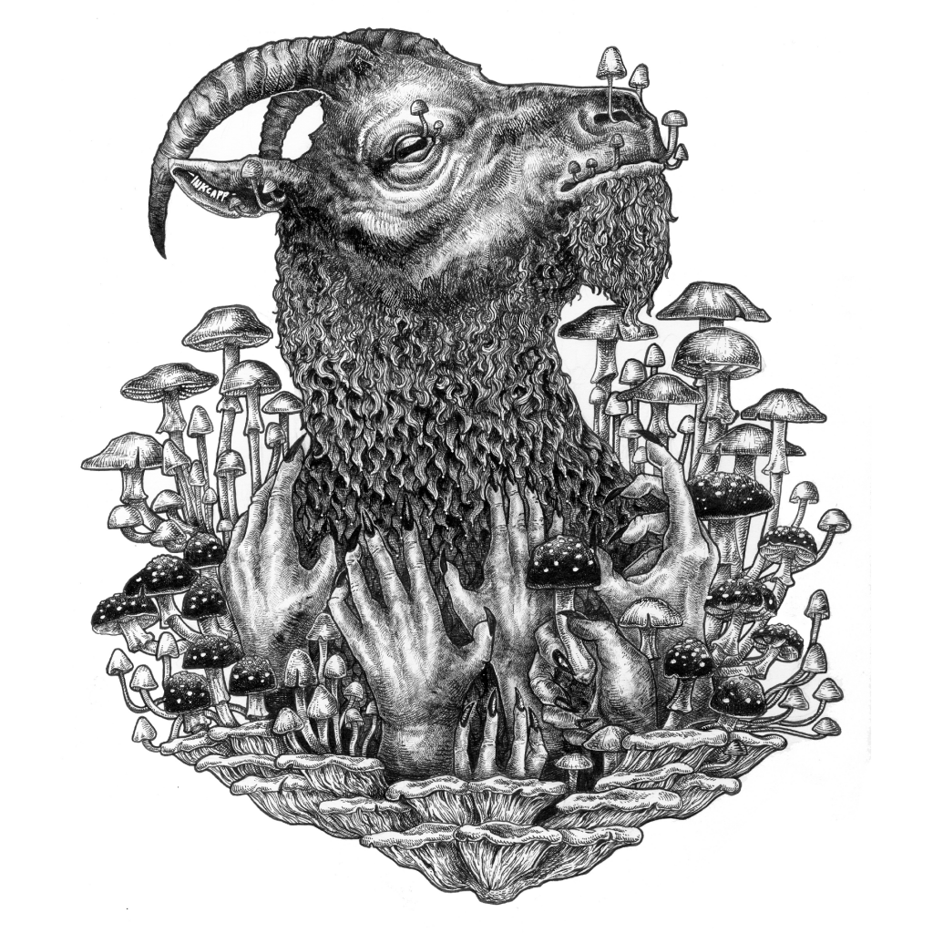 Elleanor Steadman
