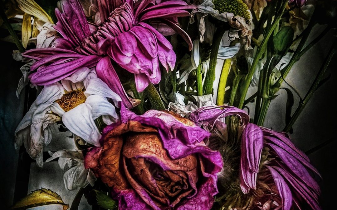 Helen Graham, Georia Moore & Jack Butcher shortlisted for the AOP Student Photography Awards 2025!