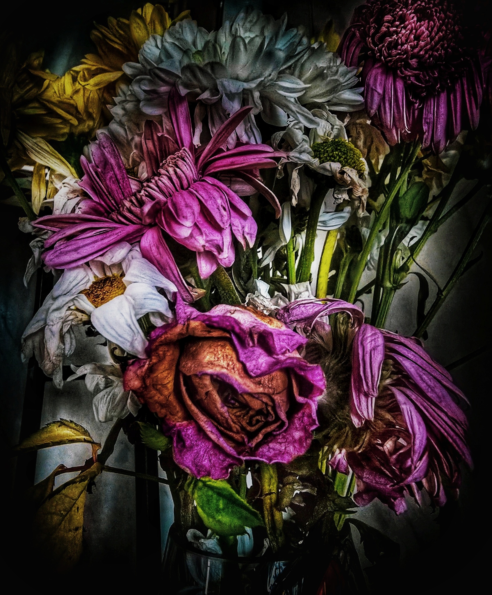 7327_2_1748252528