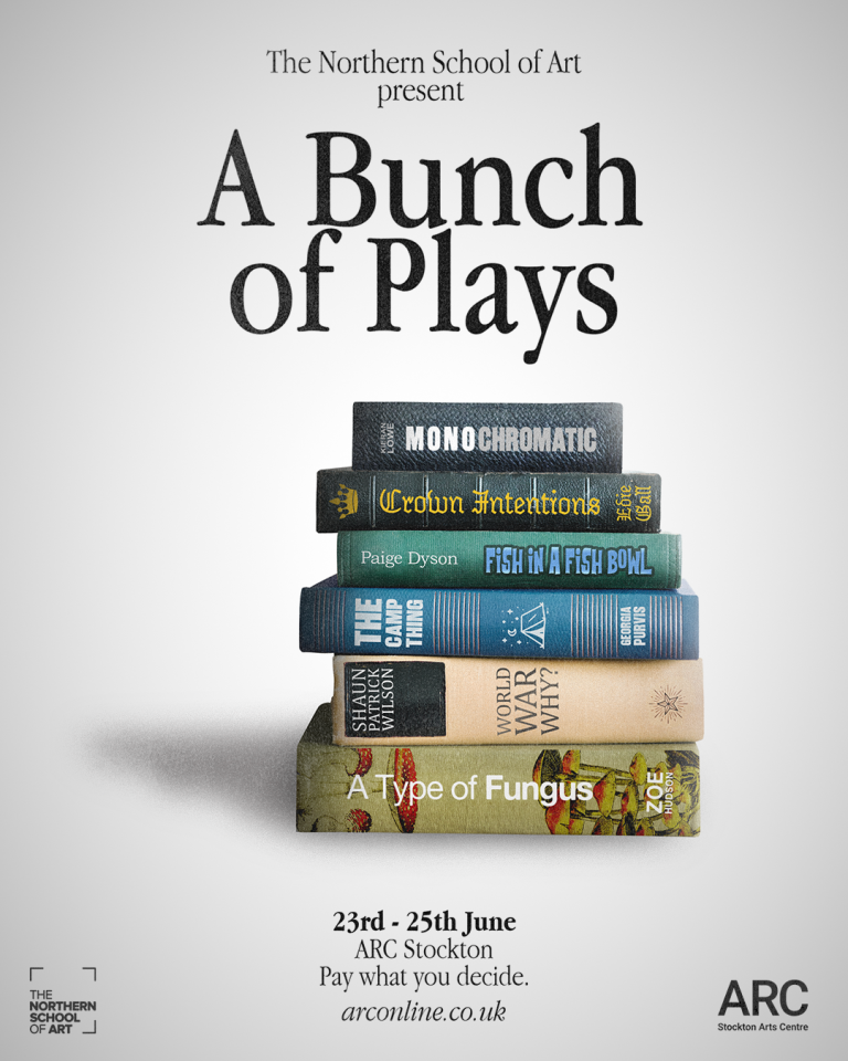 INSTAGRAM - A Bunch of Plays Poster