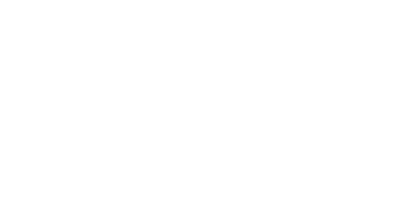 ACCESS VFX LOGO NEW 3